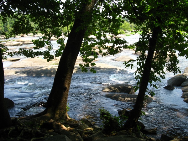 20120719-114812-Canon-3928.jpg