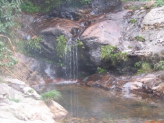 20061209-yair-2685.jpg