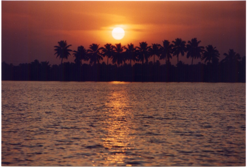 20000200-India-Kerala-back-waters.jpg