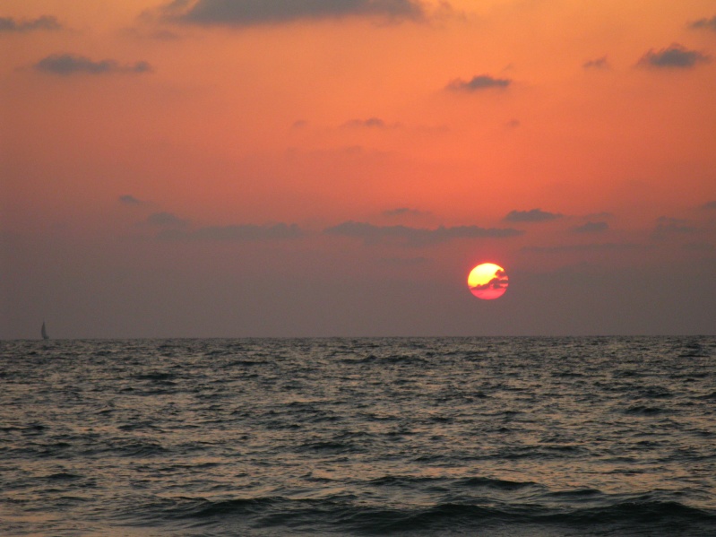 20090904-175724-Herzlia-IMG_2288.jpg