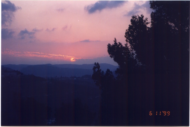 19991106-sunset-in-jerusalem-forest-1.jpg