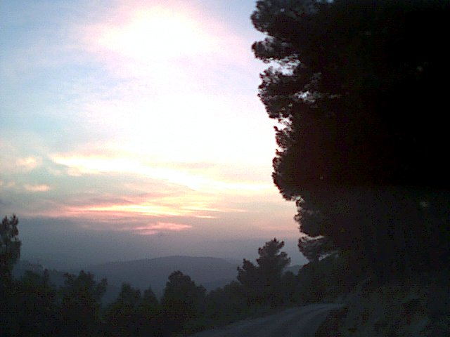 20021011-Jerusalem-Forest-sunset-11.jpg