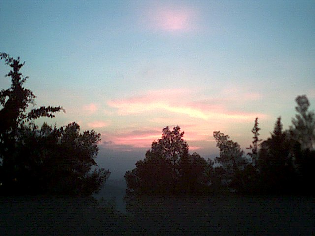 20021011-Jerusalem-Forest-sunset-14.jpg