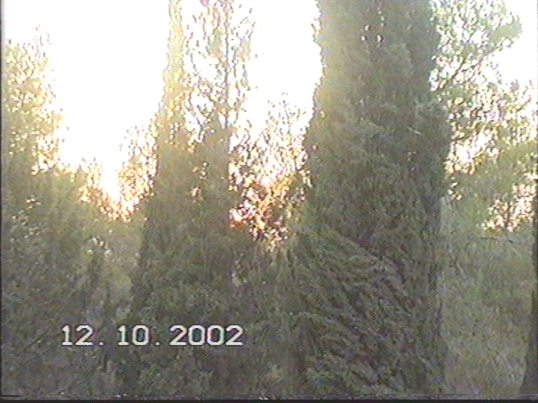 20021012-Jerusalem-Forest-sunset-21.jpg