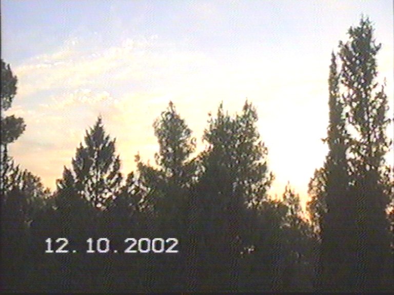 20021012-Jerusalem-Forest-sunset-22.jpg