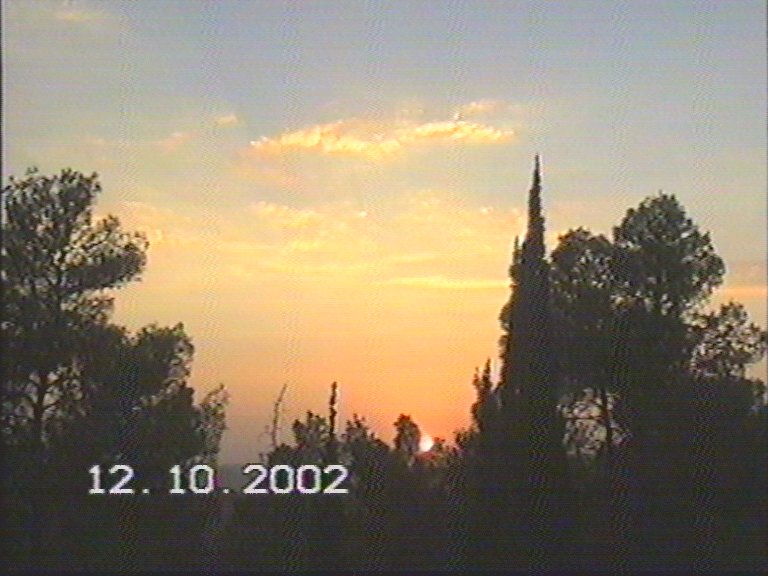 20021012-Jerusalem-Forest-sunset-25.jpg