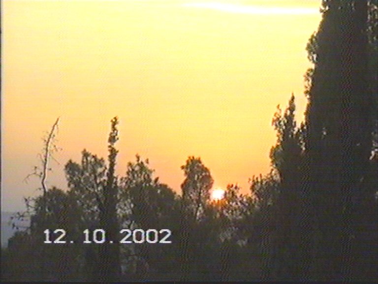 20021012-Jerusalem-Forest-sunset-26.jpg