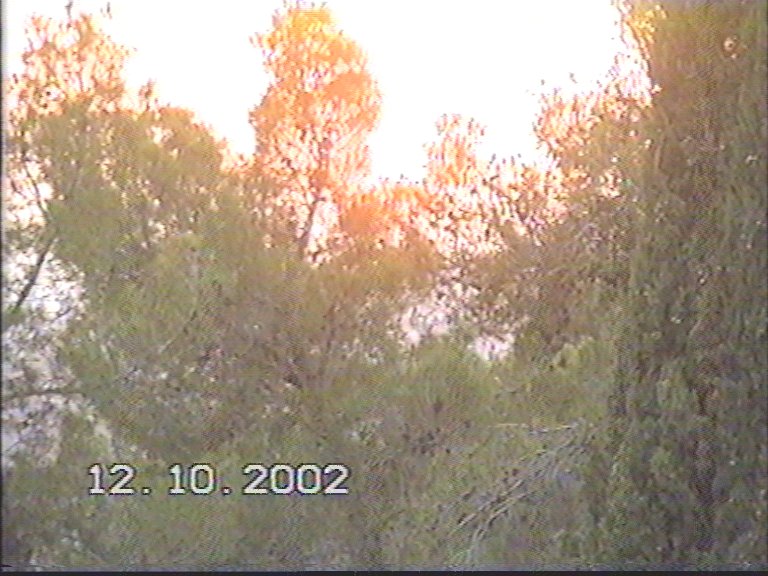 20021012-Jerusalem-Forest-sunset-27.jpg