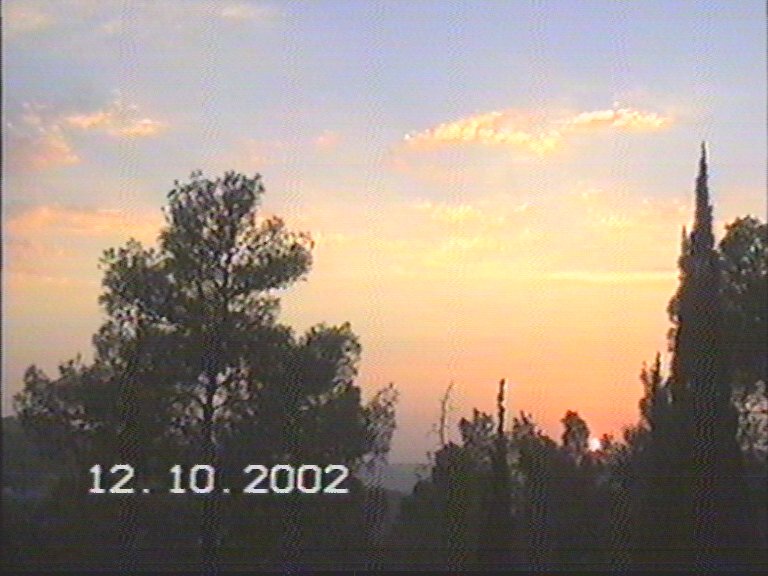 20021012-Jerusalem-Forest-sunset-28.jpg