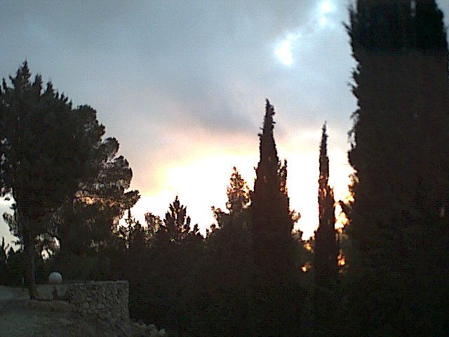 20021217-Jerusalem-Forest-sunset-03.jpg