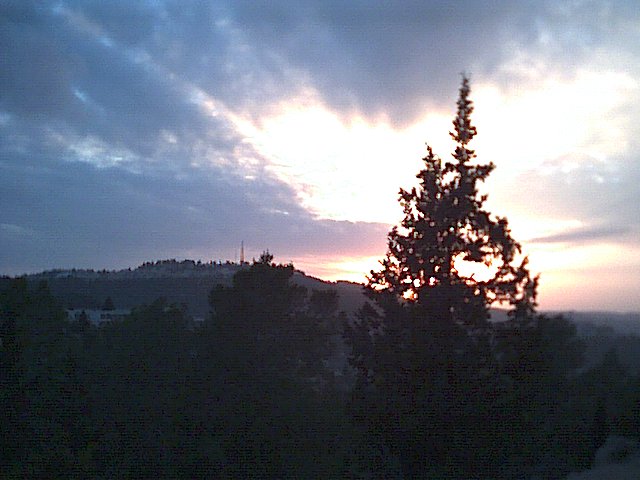 20021217-Jerusalem-Forest-sunset-09.jpg