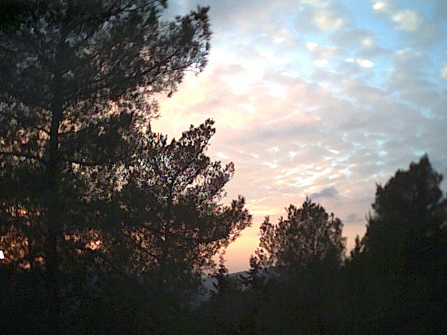 20021217-Jerusalem-Forest-sunset-11.jpg