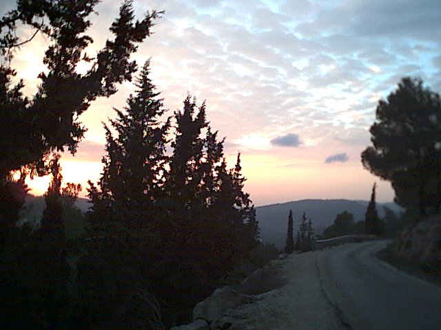 20021217-Jerusalem-Forest-sunset-14.jpg