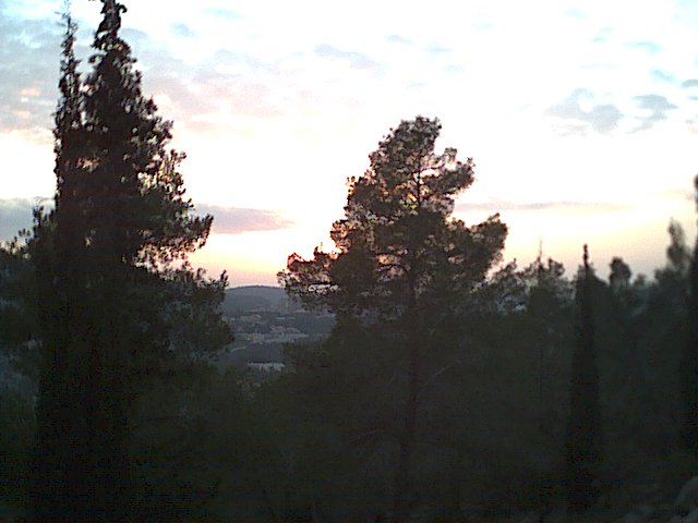 20021217-Jerusalem-Forest-sunset-22.jpg