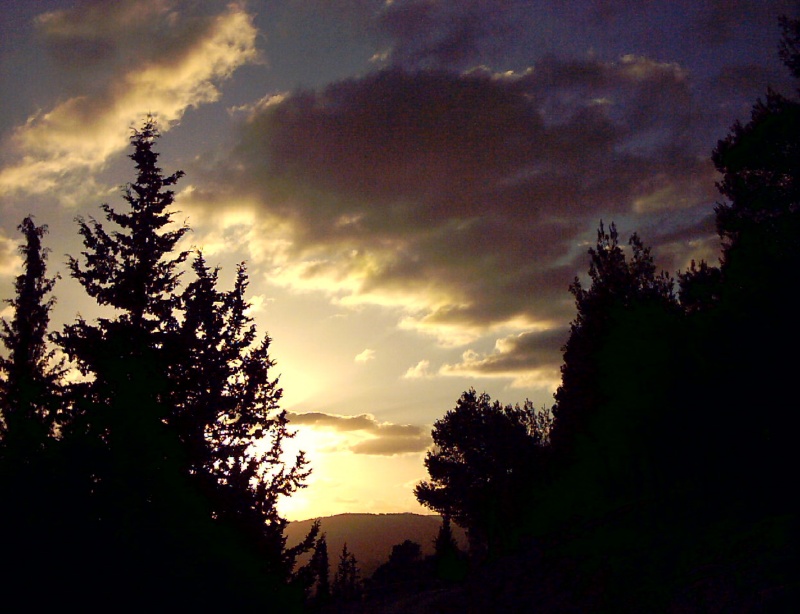 20031011-Jerusalem-Forest-sunset-06.jpg