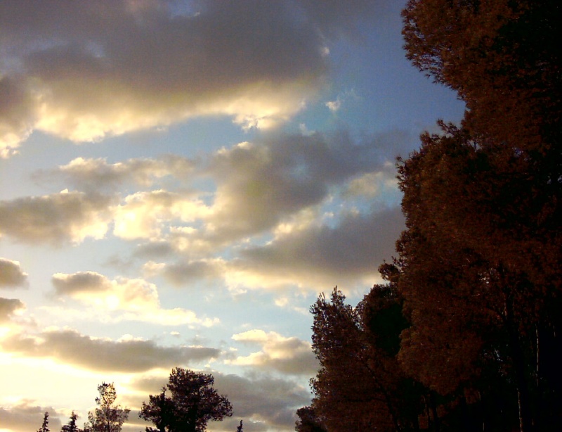 20031011-Jerusalem-Forest-sunset-09.jpg