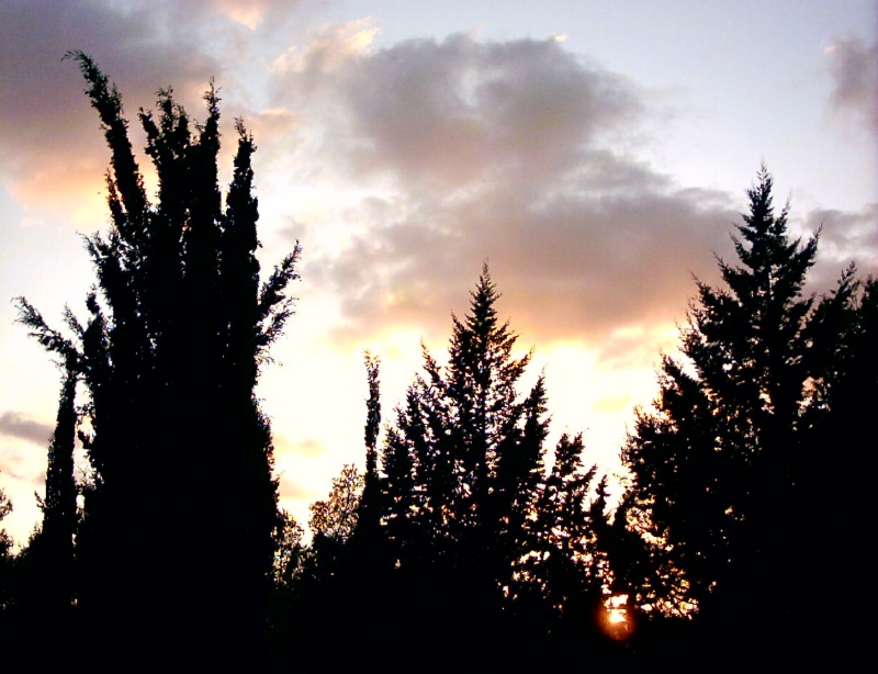 20031011-Jerusalem-Forest-sunset-19.jpg