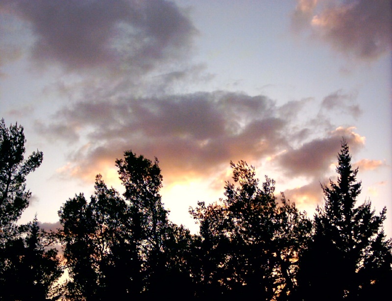 20031011-Jerusalem-Forest-sunset-21.jpg