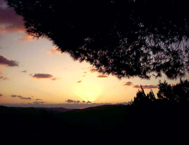 20031011-Jerusalem-Forest-sunset-22.jpg