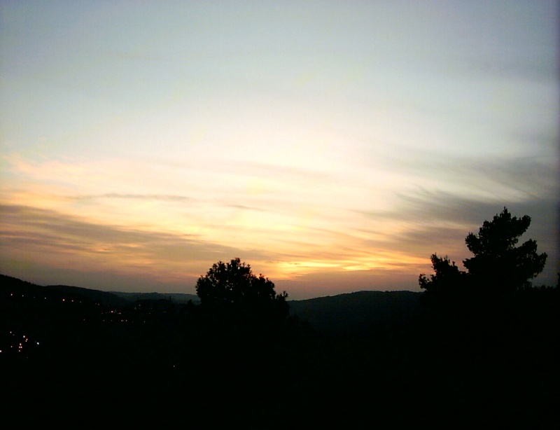20040303-Jerusalem-Forest-sunset-0012.jpg