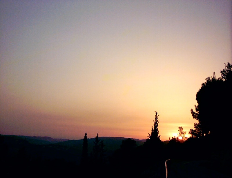 20040413-Jerusalem-Forest-sunset-0017.jpg