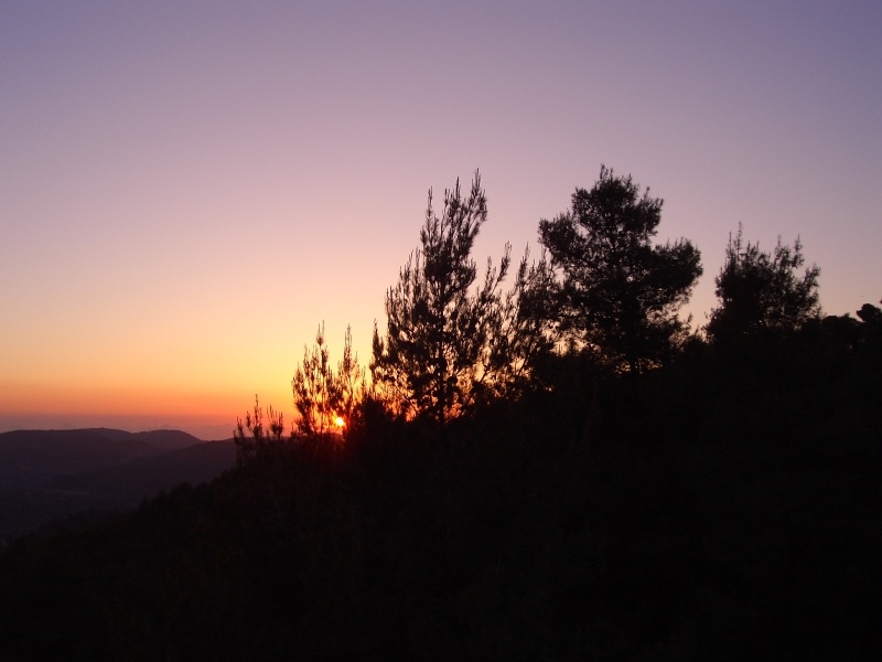 20040423-sunset-in-jerusalem-forest-052.jpg