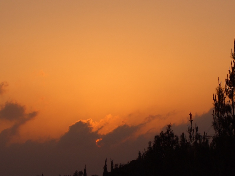 20040503-191316-Jerusalem-Forest-sunset-705.jpg