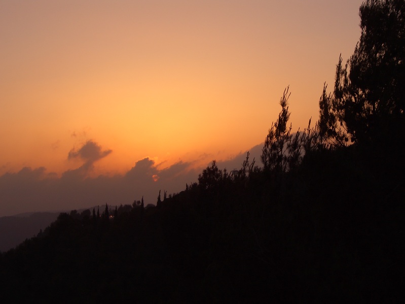 20040503-191340-Jerusalem-Forest-sunset-706.jpg