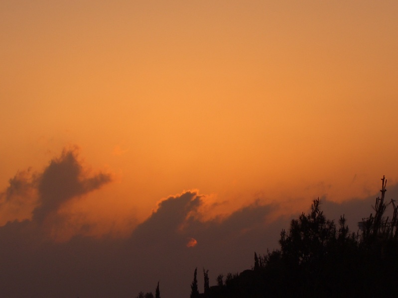 20040503-191408-Jerusalem-Forest-sunset-708.jpg