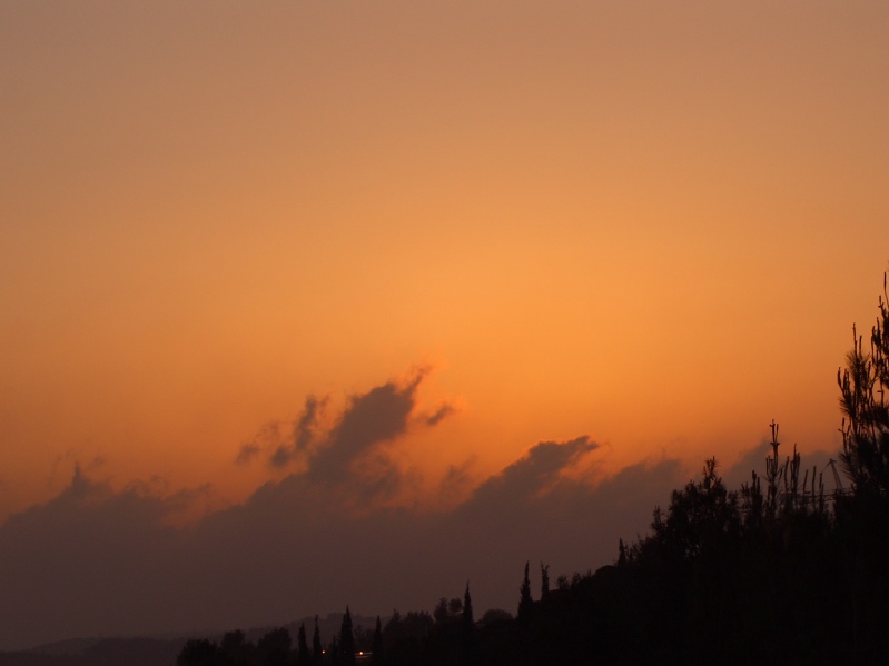 20040503-191456-Jerusalem-Forest-sunset-709.jpg