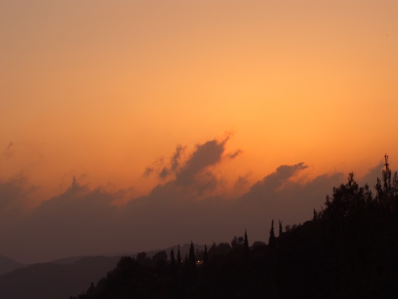 20040503-191502-Jerusalem-Forest-sunset-710.jpg