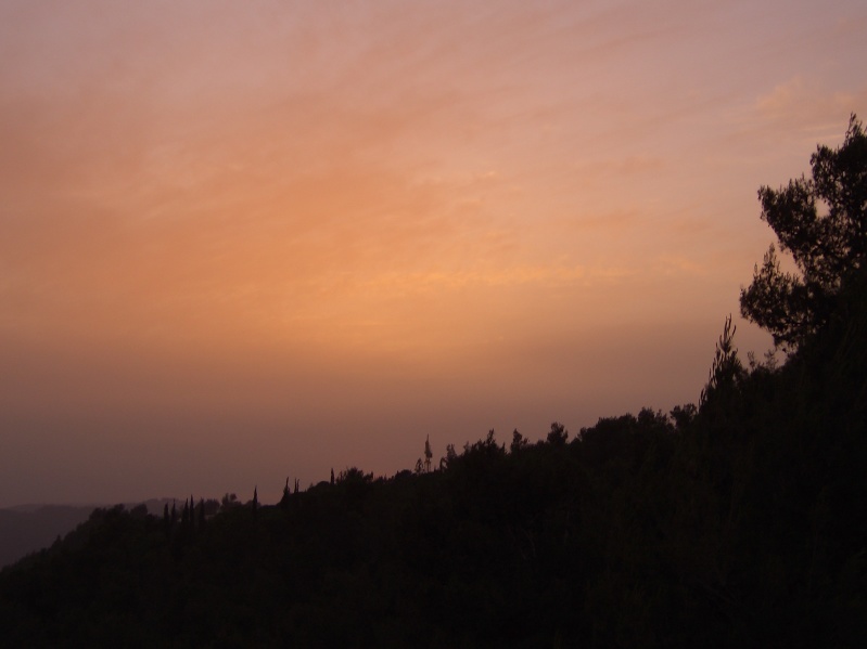 20040514-192734-Jerusalem-Forest-sunset-010.jpg