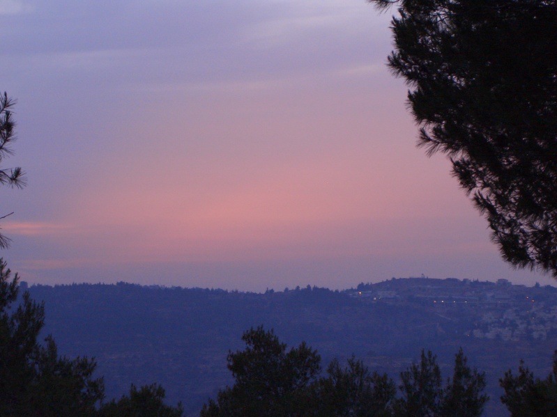 20040526-193730-Jerusalem-Forest-sunset-064.jpg