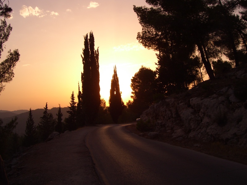 20040716-182702-Jerusalem-Forest-sunset-591.jpg