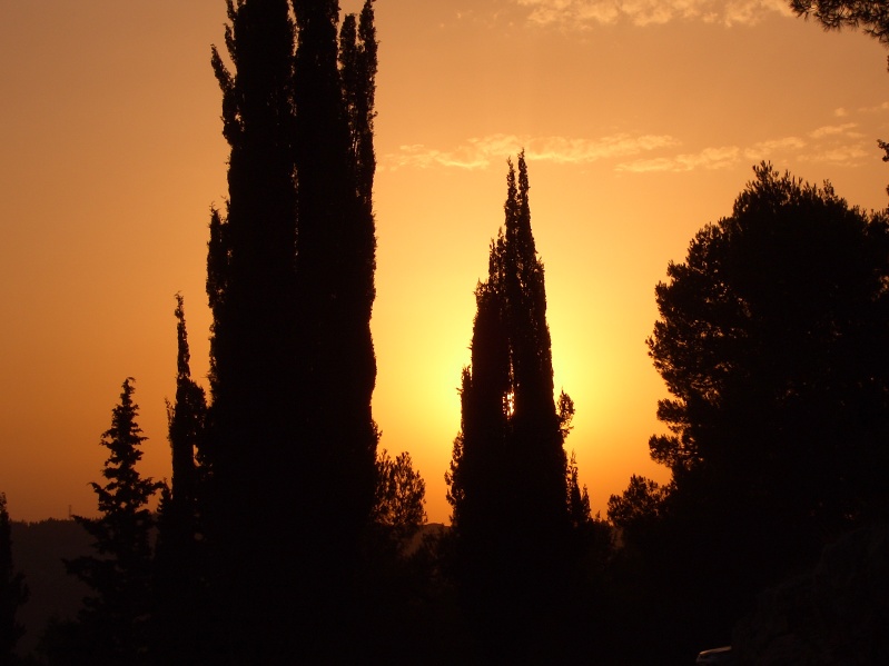 20040716-182710-Jerusalem-Forest-sunset-592.jpg