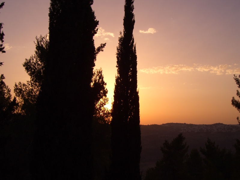20040716-183004-Jerusalem-Forest-sunset-594.jpg