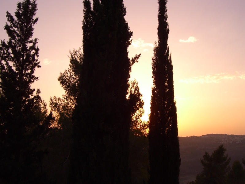 20040716-183018-Jerusalem-Forest-sunset-595.jpg