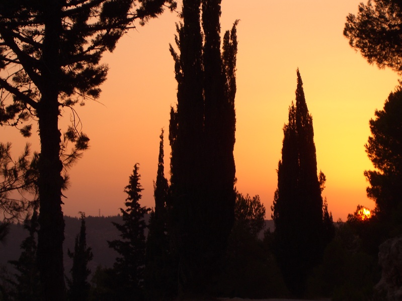 20040716-184026-Jerusalem-Forest-sunset-604.jpg