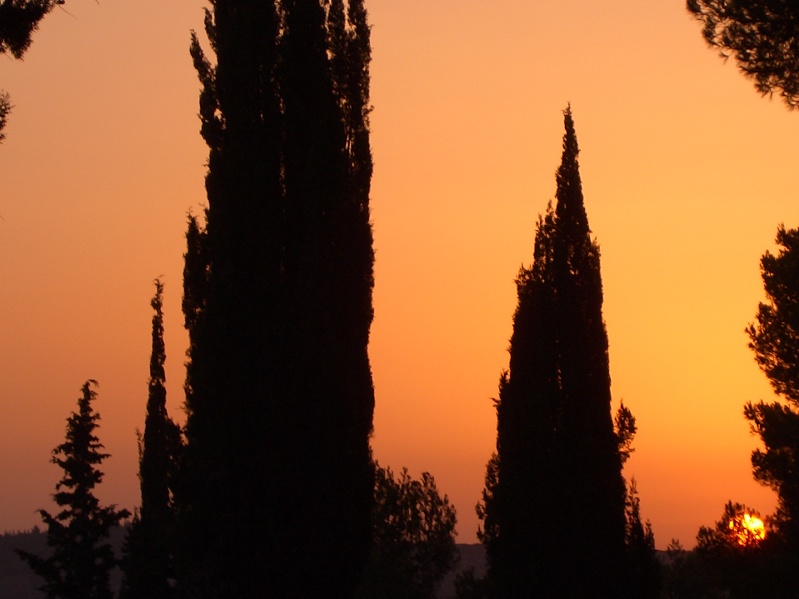 20040716-184036-Jerusalem-Forest-sunset-605.jpg