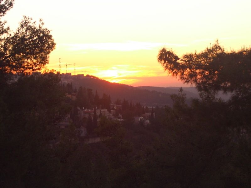 20041202-163914-Jerusalem-Forest-sunset-C2463.jpg