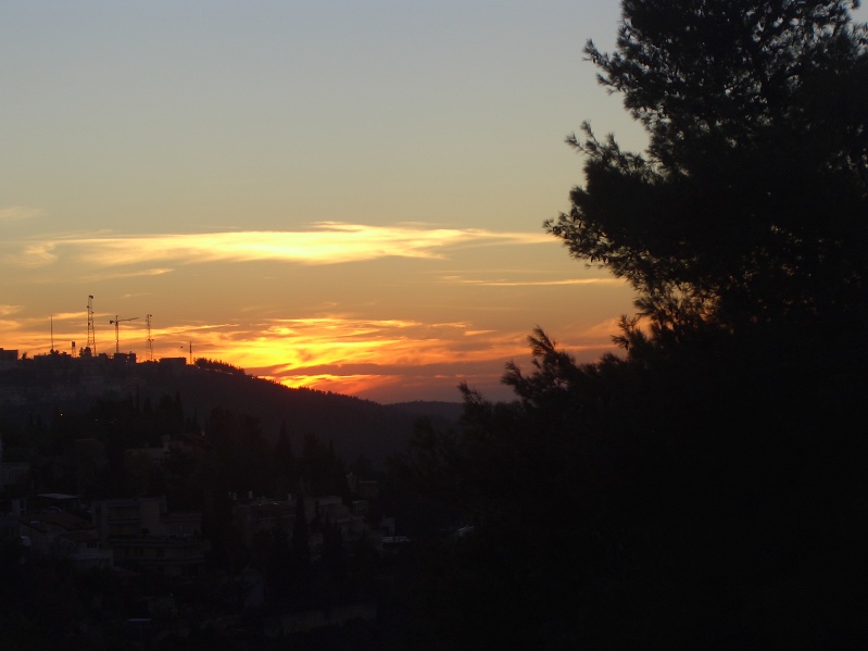 20041202-163956-Jerusalem-Forest-sunset-C2465.jpg