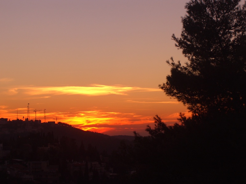 20041202-164008-Jerusalem-Forest-sunset-C2466.jpg