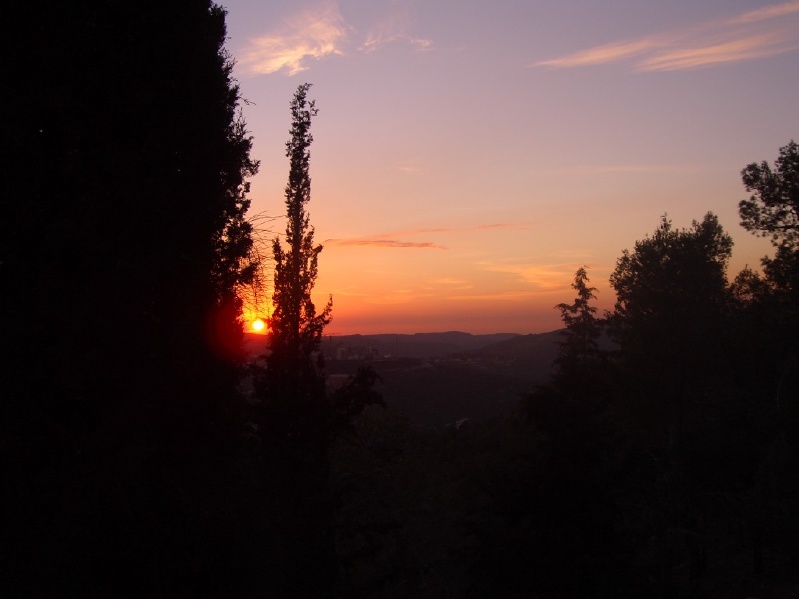 20050109-sunset-in-jerusalem-forest-2755.jpg