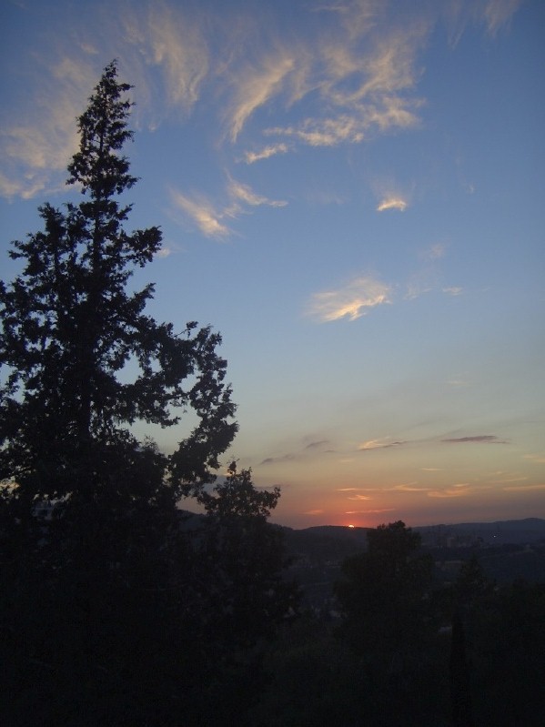 20050109-sunset-in-jerusalem-forest-2764.jpg