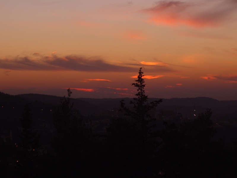 20050125-171716-Jerusalem-Forest-sunset-C2838.jpg