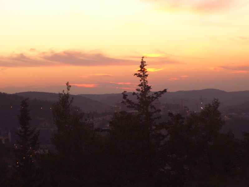 20050125-171728-Jerusalem-Forest-sunset-C2839.jpg