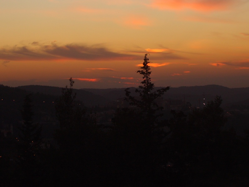 20050125-171744-Jerusalem-Forest-sunset-C2840.jpg