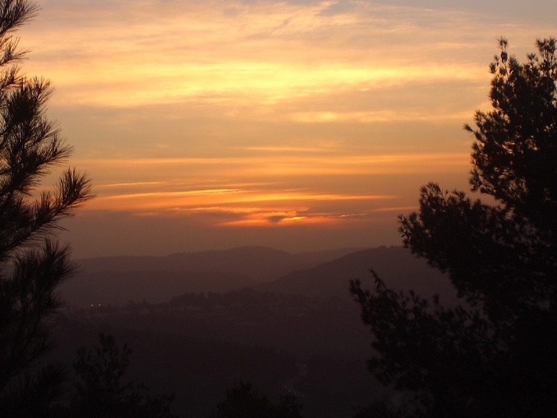 20050215-sunset-in-jerusalem-forest-3001.jpg