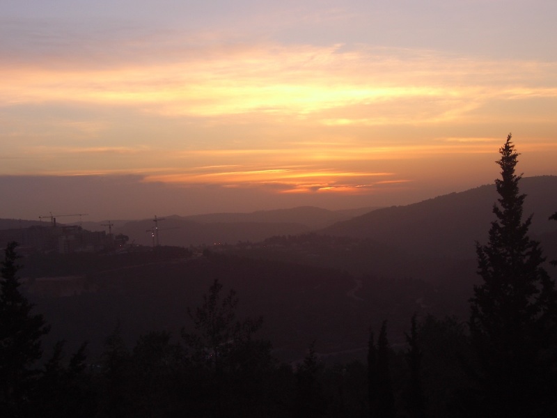 20050215-sunset-in-jerusalem-forest-3002.jpg