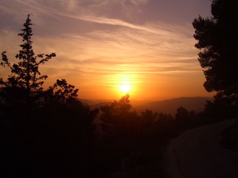 20050217-Jerusalem-Forest-sunset-C3003.jpg